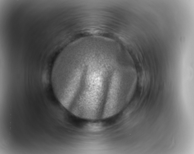 X0000088460606200706051325