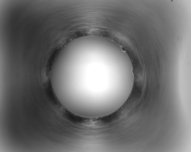 X0000088460607200706051325