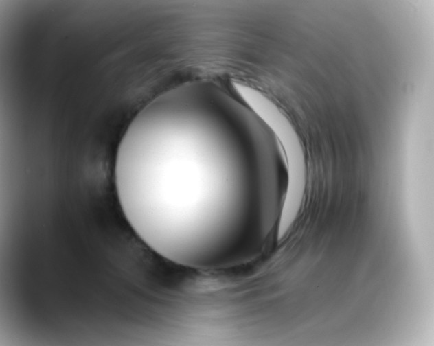 X0000088460608200706051325