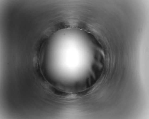 X0000088460609200706051325