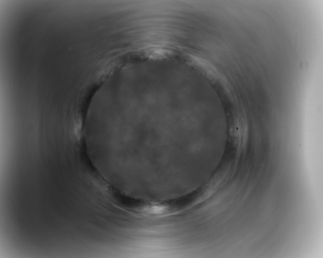 X0000088460610200706051325