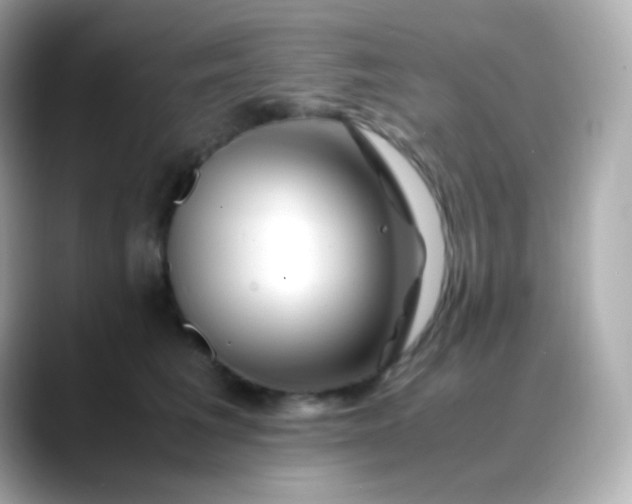 X0000088460613200706051325