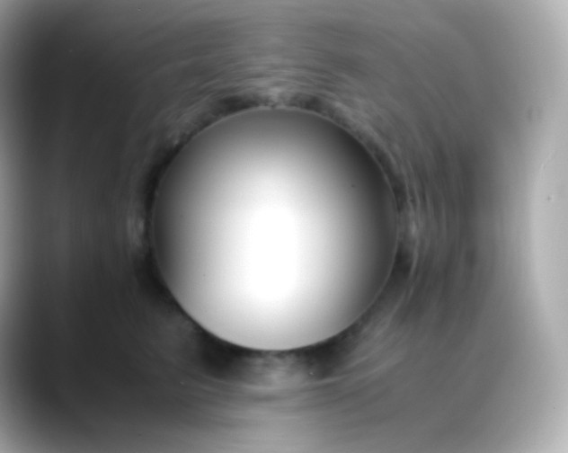 X0000088460615200706051325