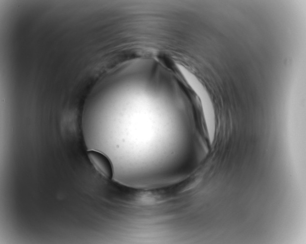 X0000088460616200706051325