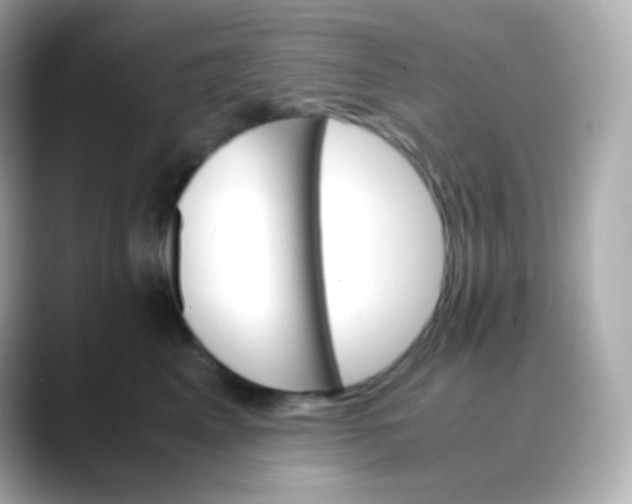 X0000088460617200706051325