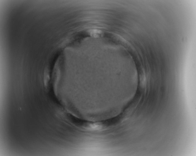 X0000088460618200706051325