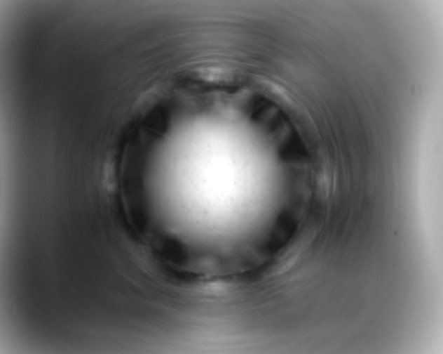 X0000088460620200706051325