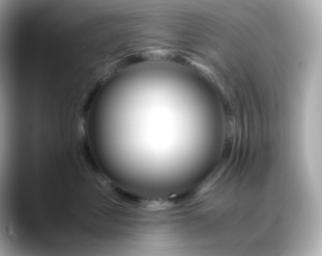 X0000088460621200706051325