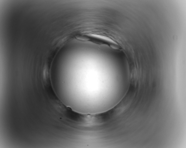 X0000088460623200706051325