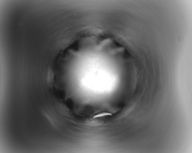 X0000088460624200706051325