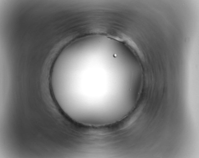 X0000088460625200706051325