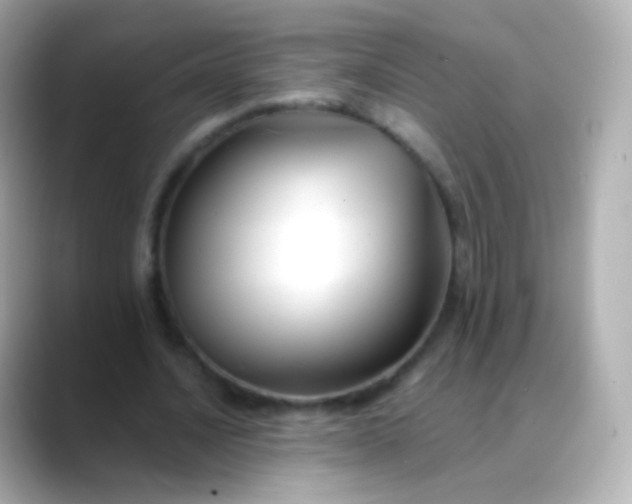 X0000088460628200706051325