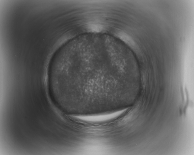 X0000088460630200706051325