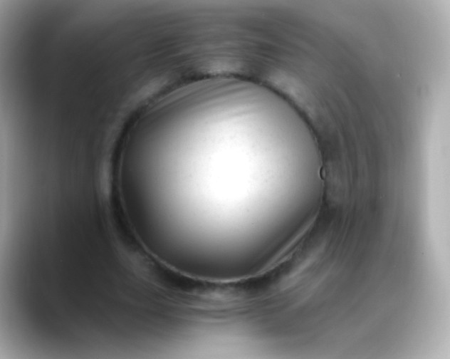 X0000088460631200706051325