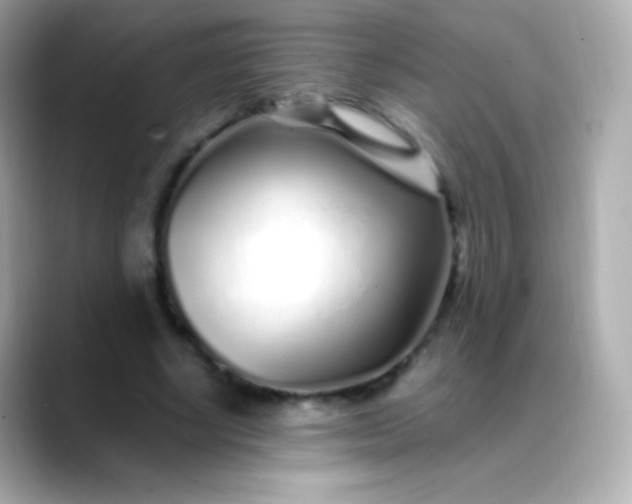 X0000088460634200706051325