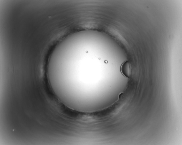 X0000088460635200706051325