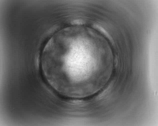 X0000088460637200706051325