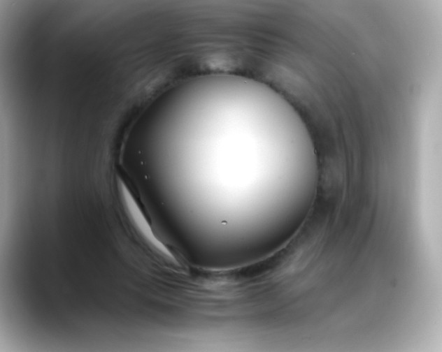 X0000088460639200706051325