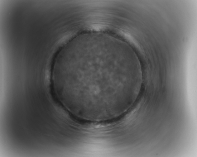 X0000088460640200706051325