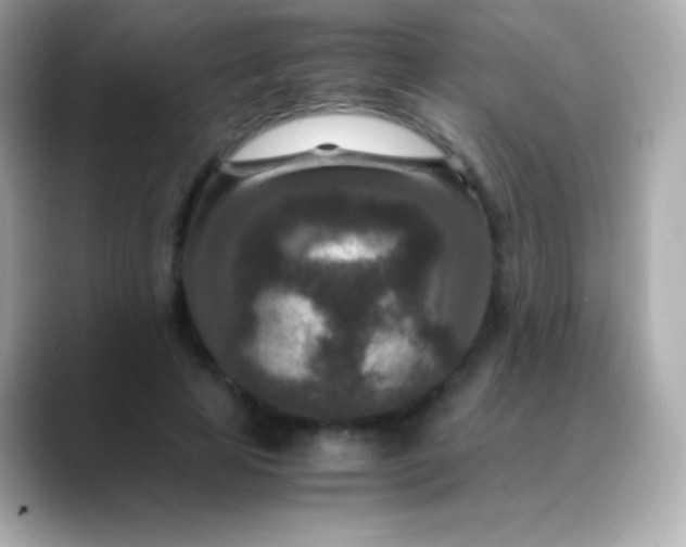 X0000088460641200706051325