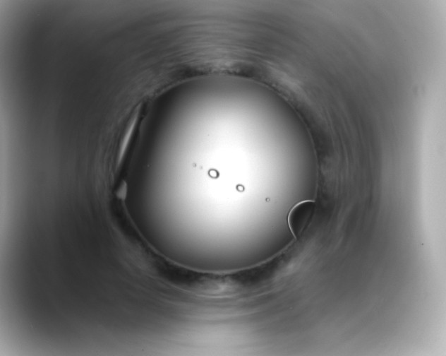 X0000088460642200706051325