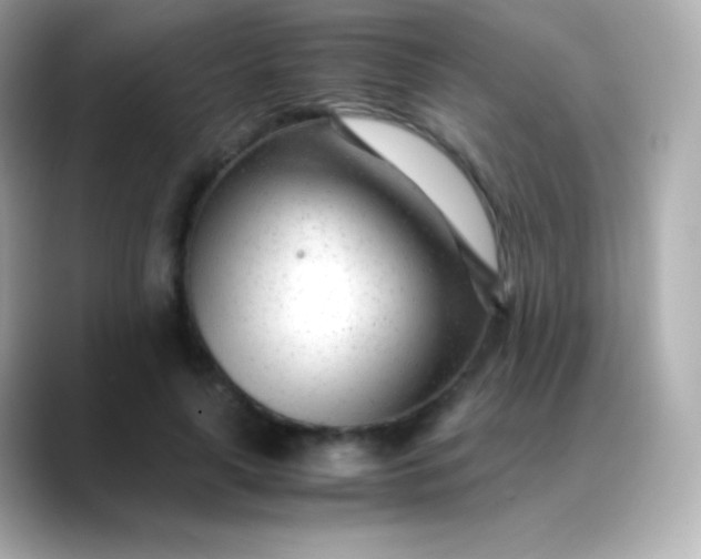 X0000088460643200706051325