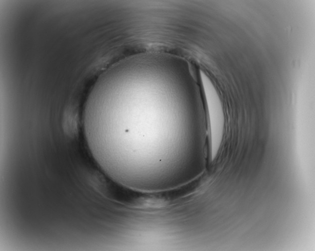 X0000088460644200706051325