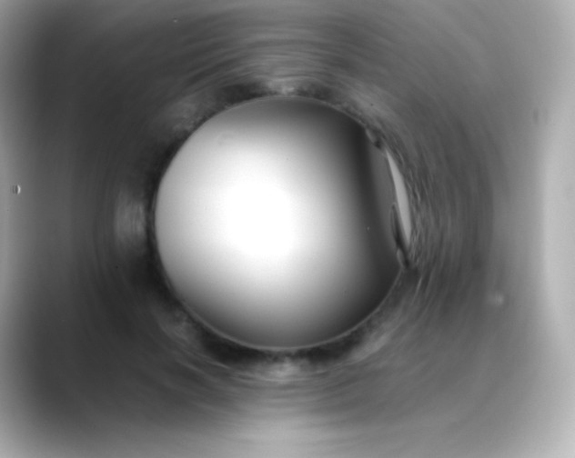 X0000088460646200706051325