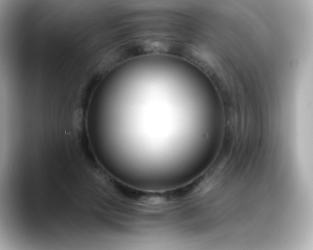 X0000088460649200706051325