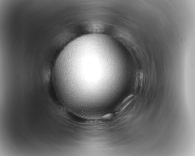 X0000088460652200706051325