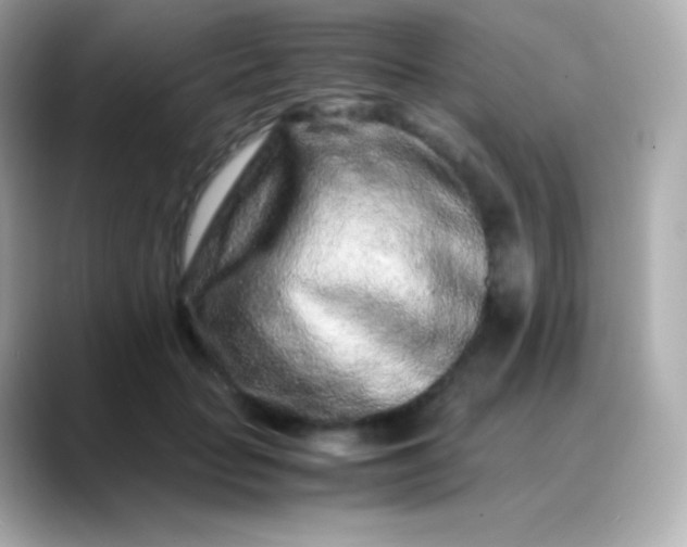 X0000088460653200706051325