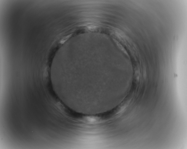 X0000088460654200706051325