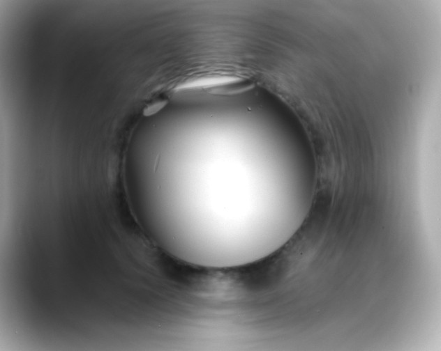 X0000088460656200706051325