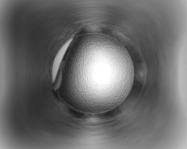 X0000088460658200706051325