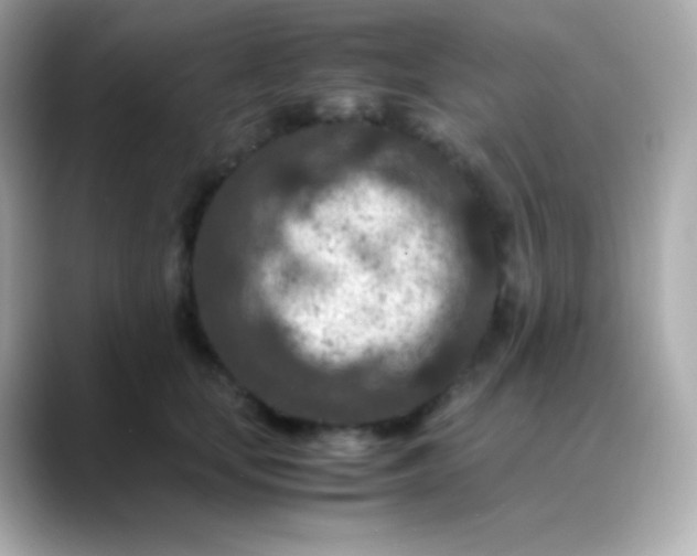 X0000088460659200706051325