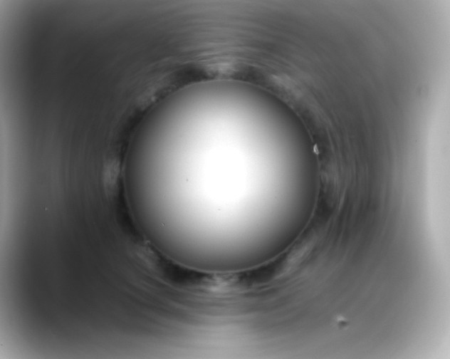 X0000088460660200706051325