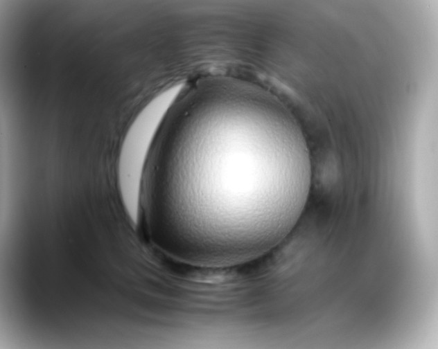 X0000088460661200706051325