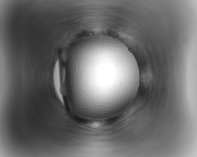 X0000088460662200706051325