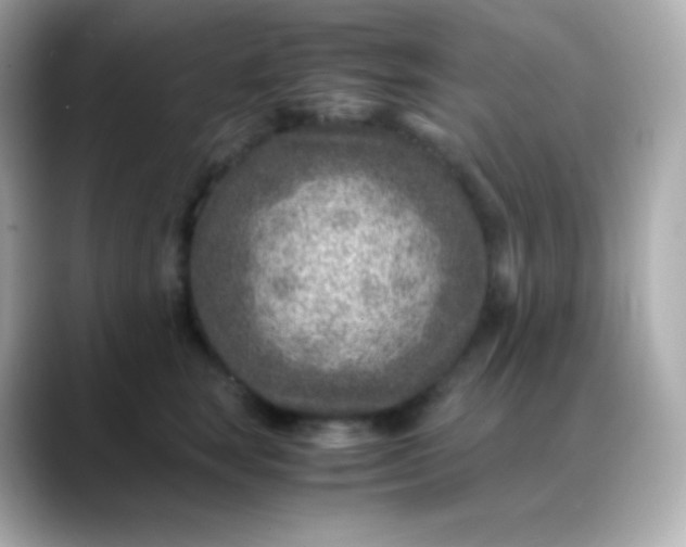 X0000088460663200706051325