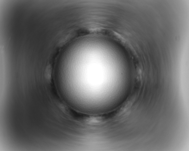 X0000088460664200706051325