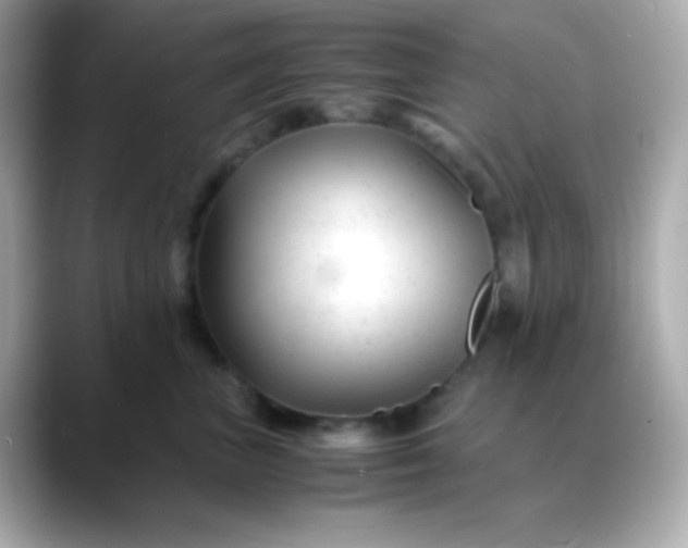 X0000088460667200706051325