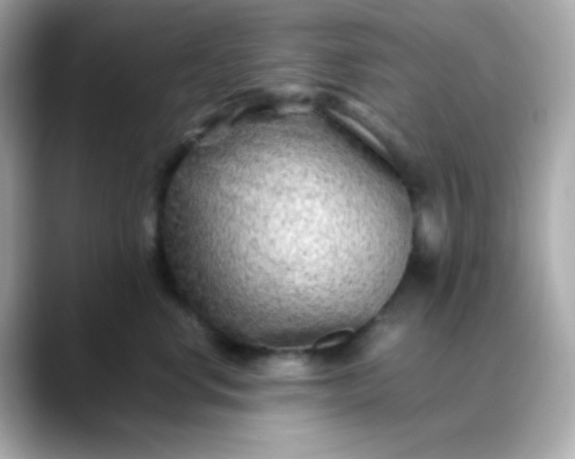 X0000088460668200706051325