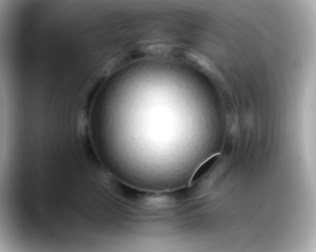 X0000088460669200706051325