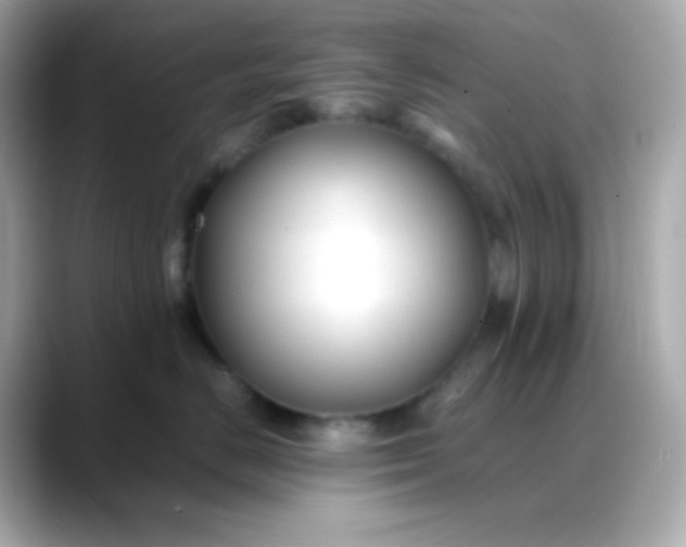 X0000088460670200706051325