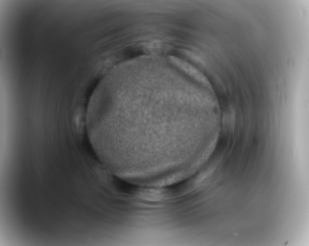 X0000088460671200706051325