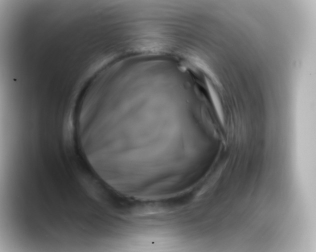 X0000088460674200706051325