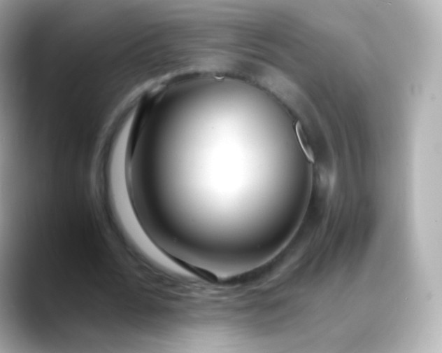 X0000088460676200706051325