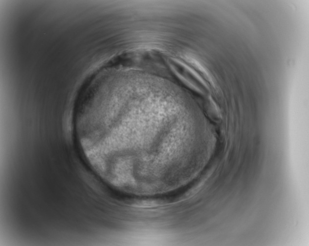 X0000088460677200706051325