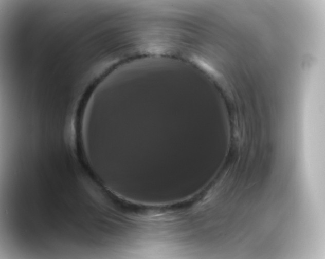 X0000088460678200706051325