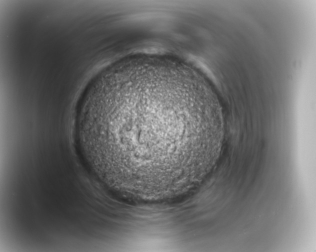 X0000088460679200706051325